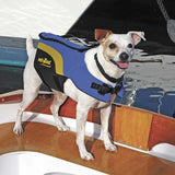 WEST MARINE–Neoprene Pet Life Jacket Large-10981686